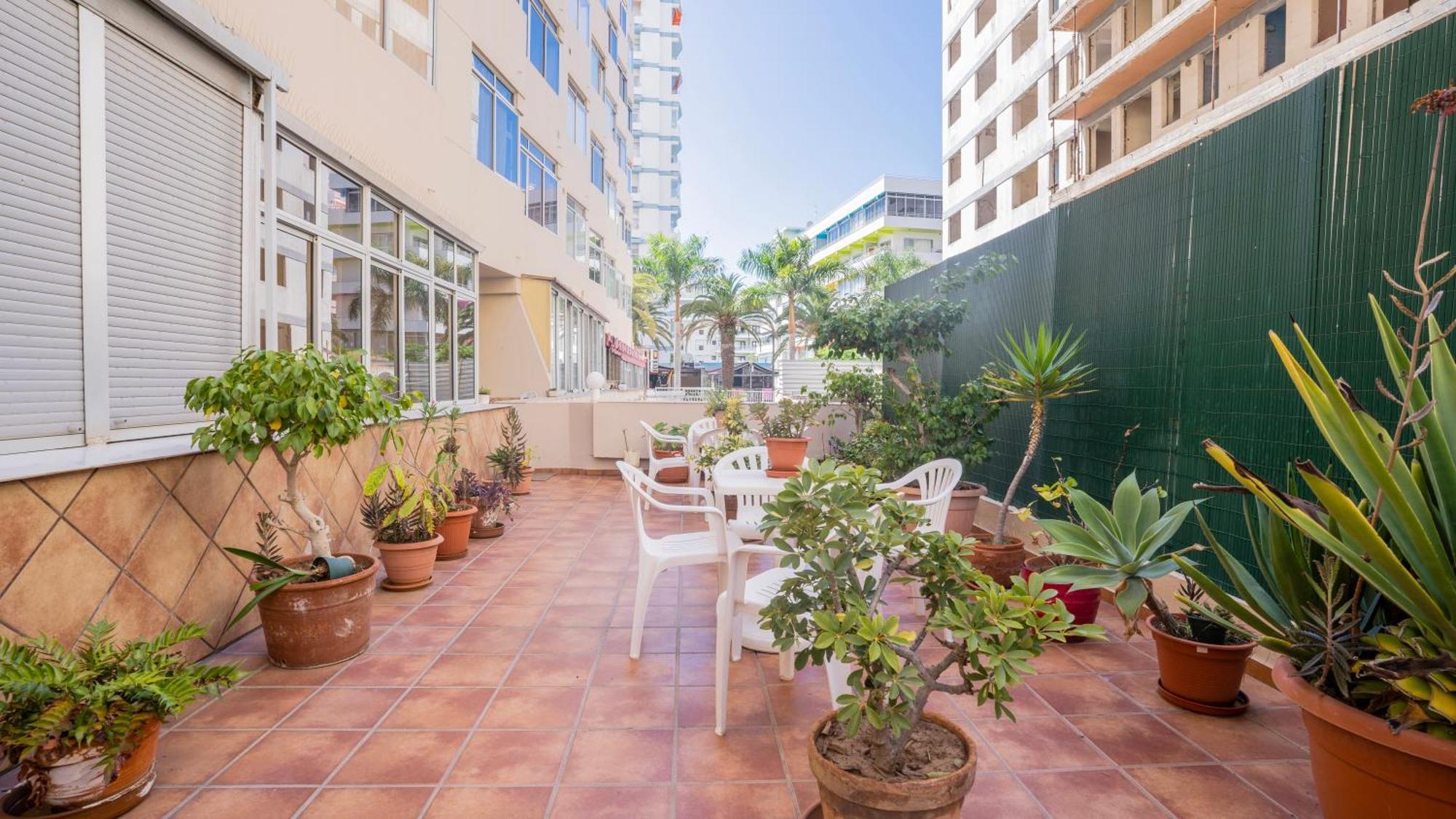 Appartement Nicalex à Puerto de la Cruz  Extérieur photo